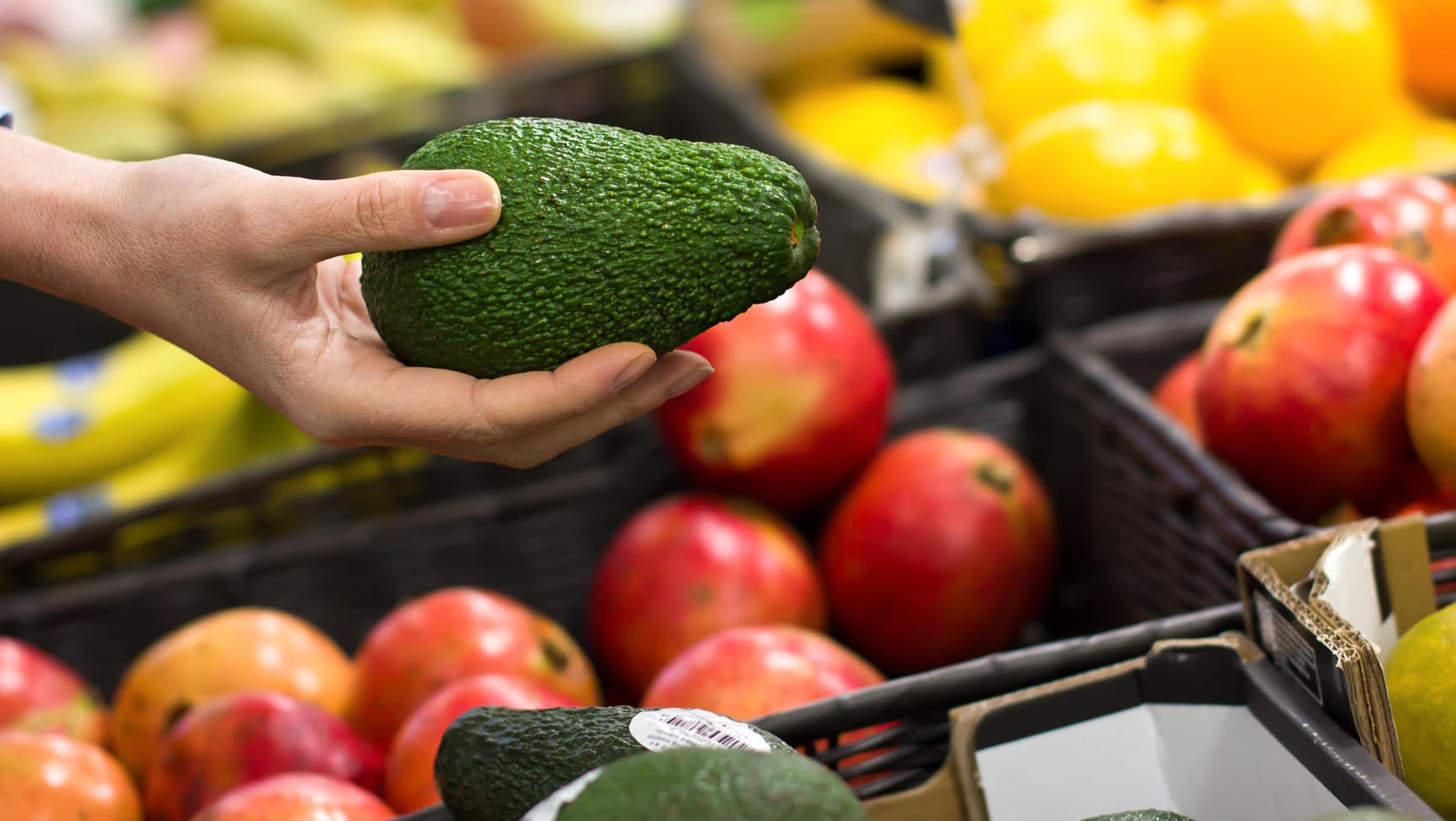 Harte Avocado: Nicht vorgereifte Avocados reifen auch zu Hause bei Zimmertemperatur.