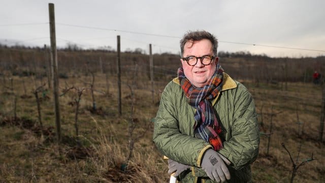 Thomas Neuhaus, Vorsitzender des Vereins Störmthaler Wein, steht im Weinberg am Ufer des Störmthaler Sees bei Leipzig. Thomas Neuhaus, Vorsitzender des Vereins Störmthaler Wein, steht im Weinberg am Ufer des Störmthaler Sees bei Leipzig.