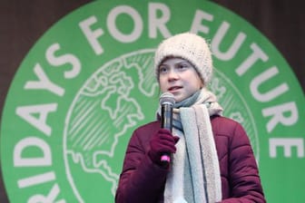 Greta Thunberg hat ihren Klimaprotest online fortgesetzt.