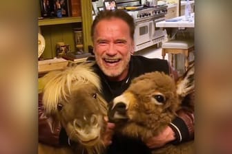 Schwarzenegger nimmt wegen der Corona-Quarantäne Tiere in den Schwitzkasten.