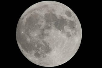 Der Vollmond (Symbolbild): Schon in zehn Jahren sollen die ersten Kosmonauten auf dem Mond landen.