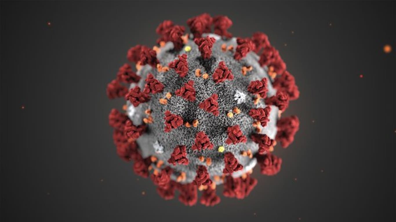 Eine Mikroskopaufnahme zeigt das neuartige Coronavirus.