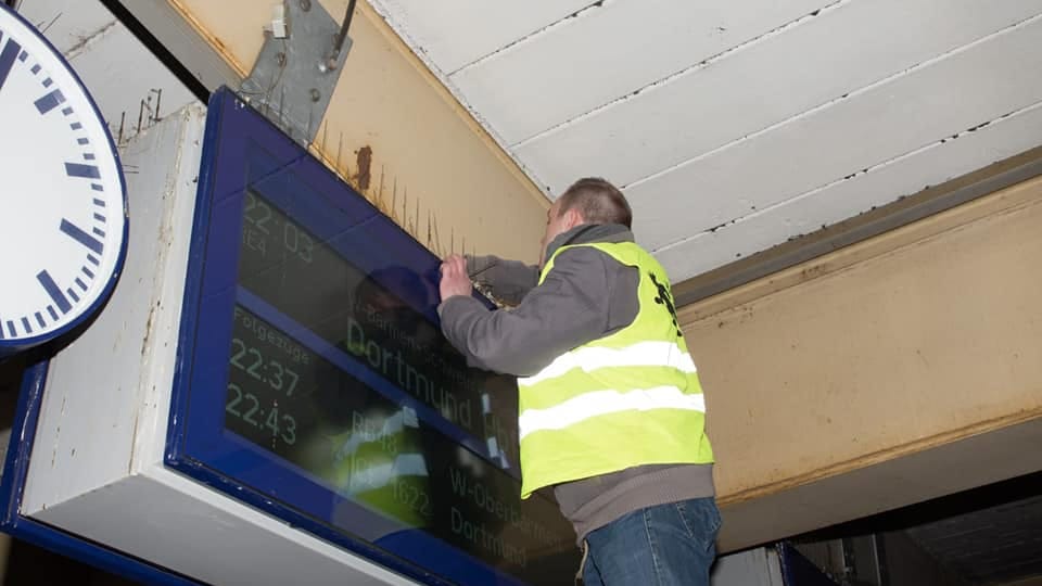 Ein Mitarbeiter sammelt eine Taube am Bahnhof in Wuppertal ein: Die Tiere bekommen in der Stadt oft nicht artgerechtes Futter.