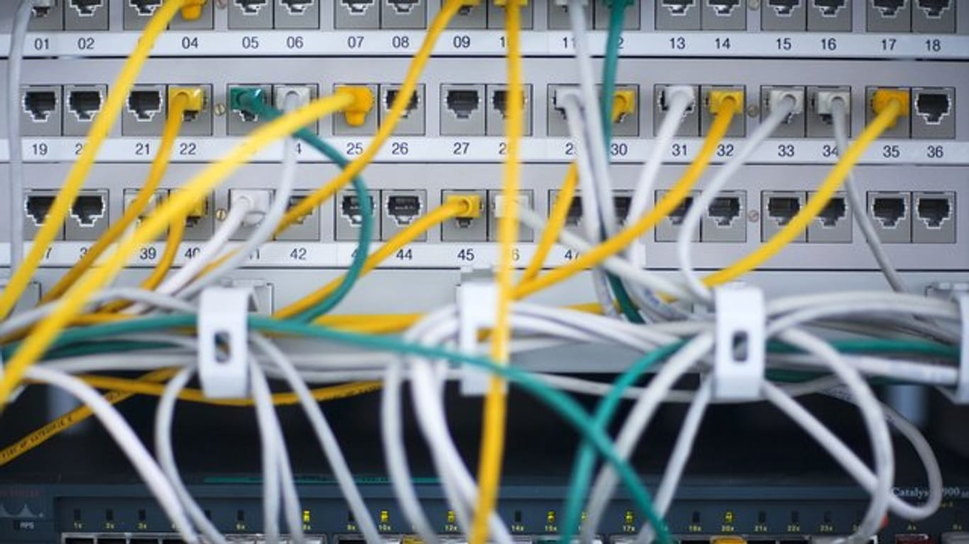 Zahlreiche Netzwerkkabel stecken in einem Serverschrank.