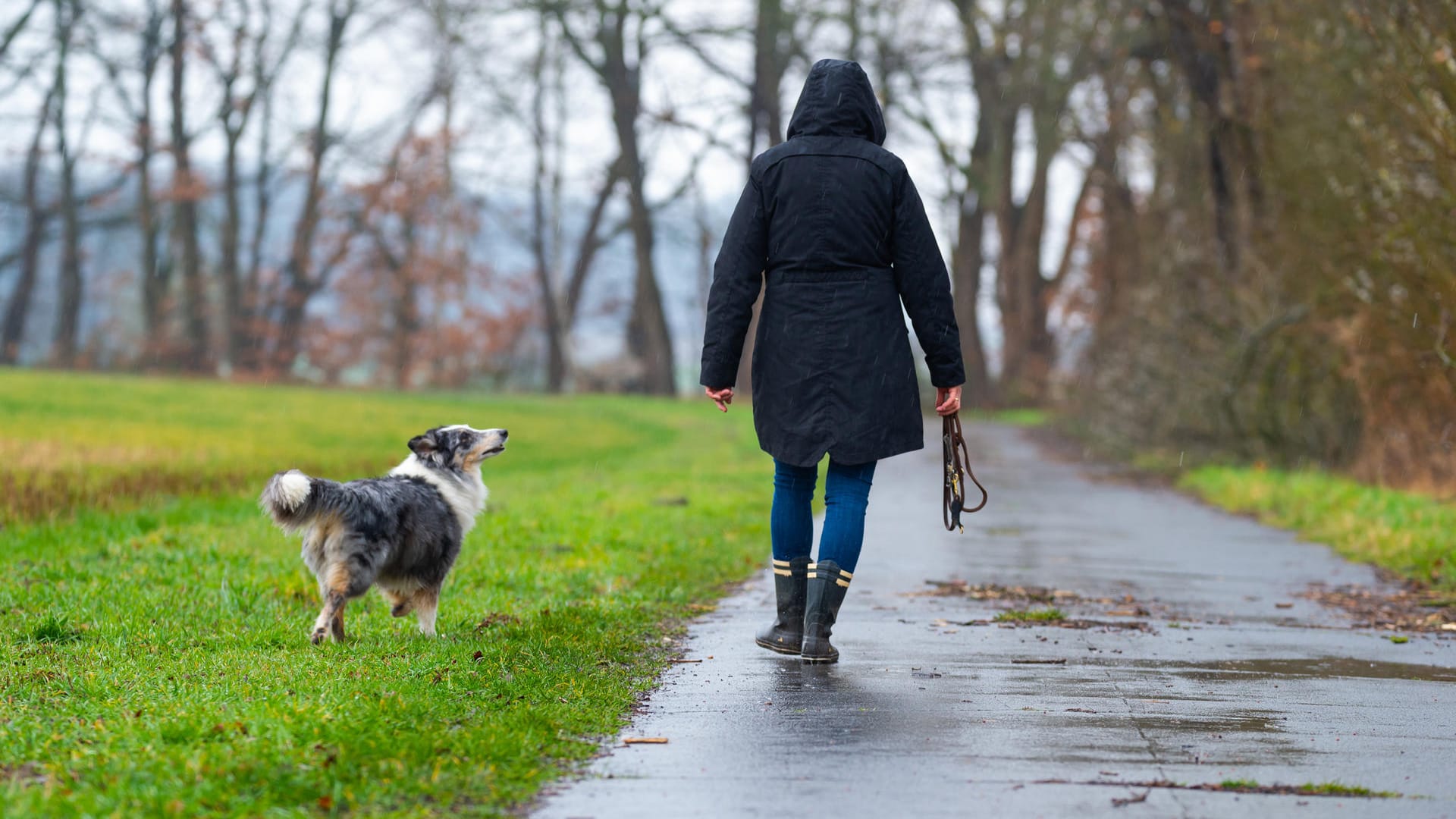 Spaziergang: Ist das Gassigehen bei einer Ausgangssperre noch erlaubt?