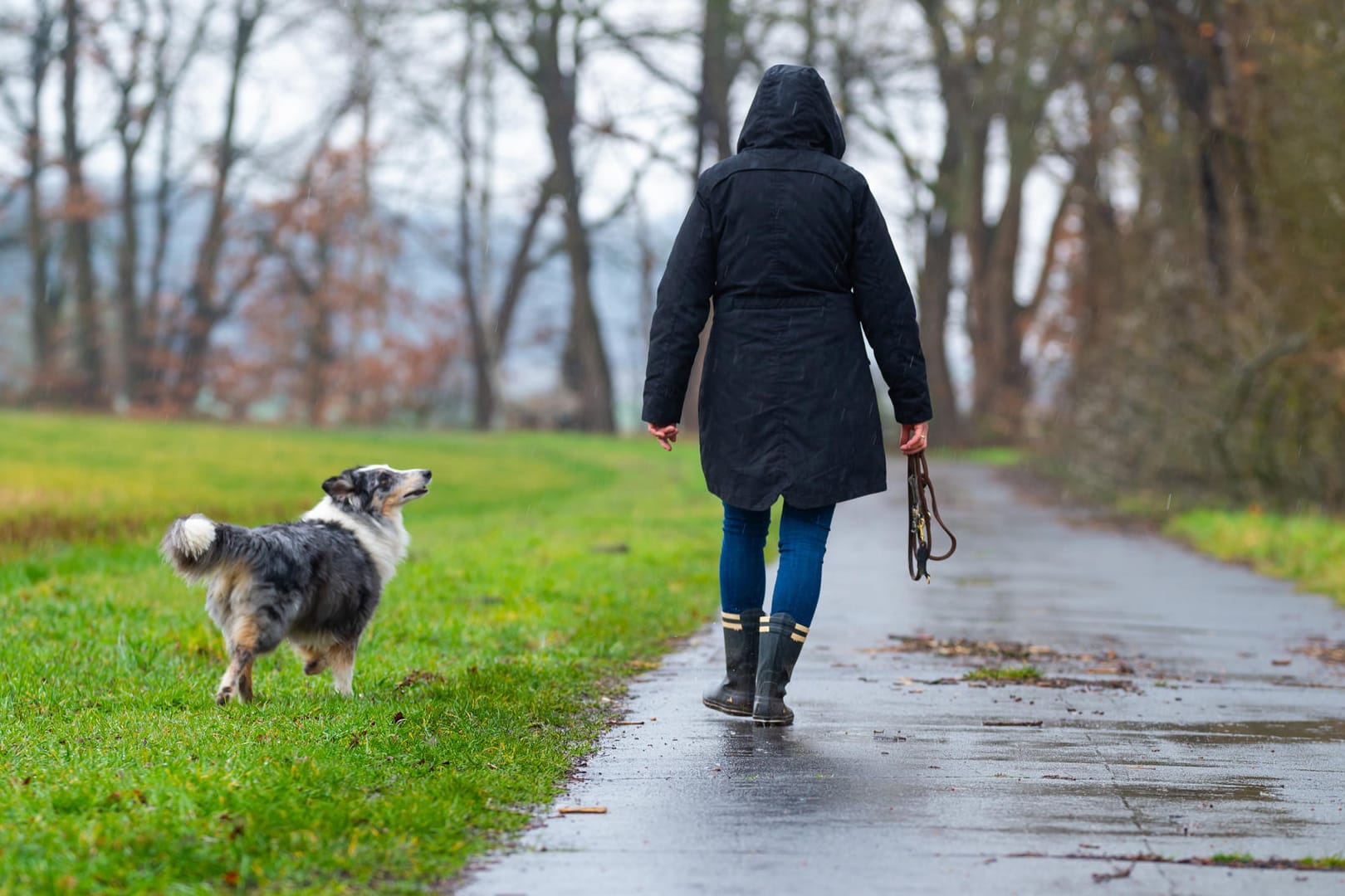 Spaziergang: Ist das Gassigehen bei einer Ausgangssperre noch erlaubt?