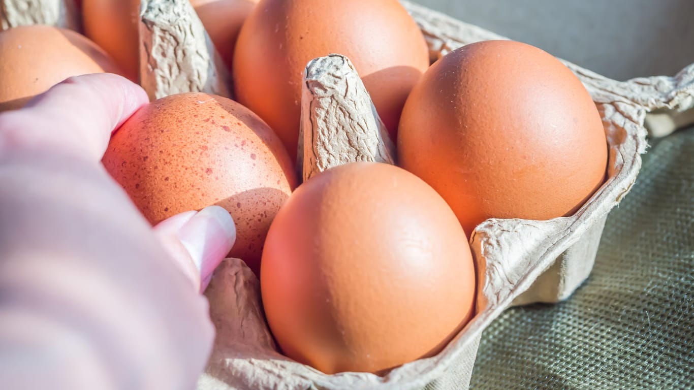 Eier: Nicht nur mit dem Inhalt von Eierkartons sollten Verbraucher vorsichtig sein.