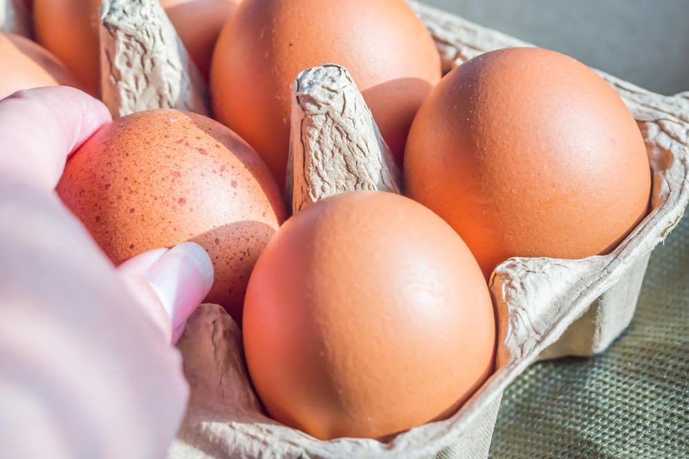Eier: Nicht nur mit dem Inhalt von Eierkartons sollten Verbraucher vorsichtig sein.