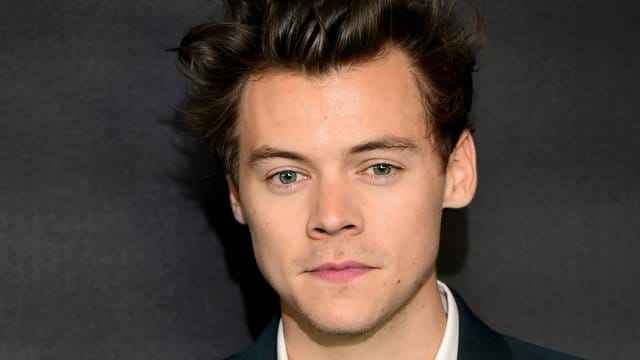 Harry Styles nutzt die Zeit zum Lernen.