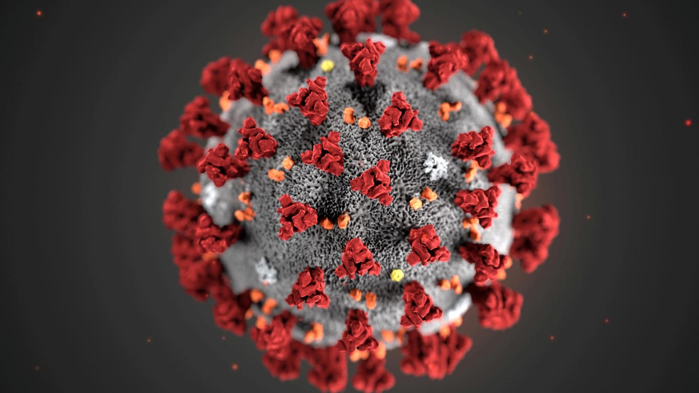 Coronavirus: Eine Studie zeigt, dass das neuartige Virus auf natürlichem Wege entstanden ist.