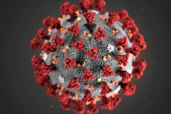 Coronavirus: Eine Studie zeigt, dass das neuartige Virus auf natürlichem Wege entstanden ist.