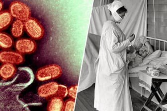 Virus H1N1 und Krankenschwester mit an Influenza Erkranktem: Die Spanische Grippe forderte mehr als 50 Millionen Tote.