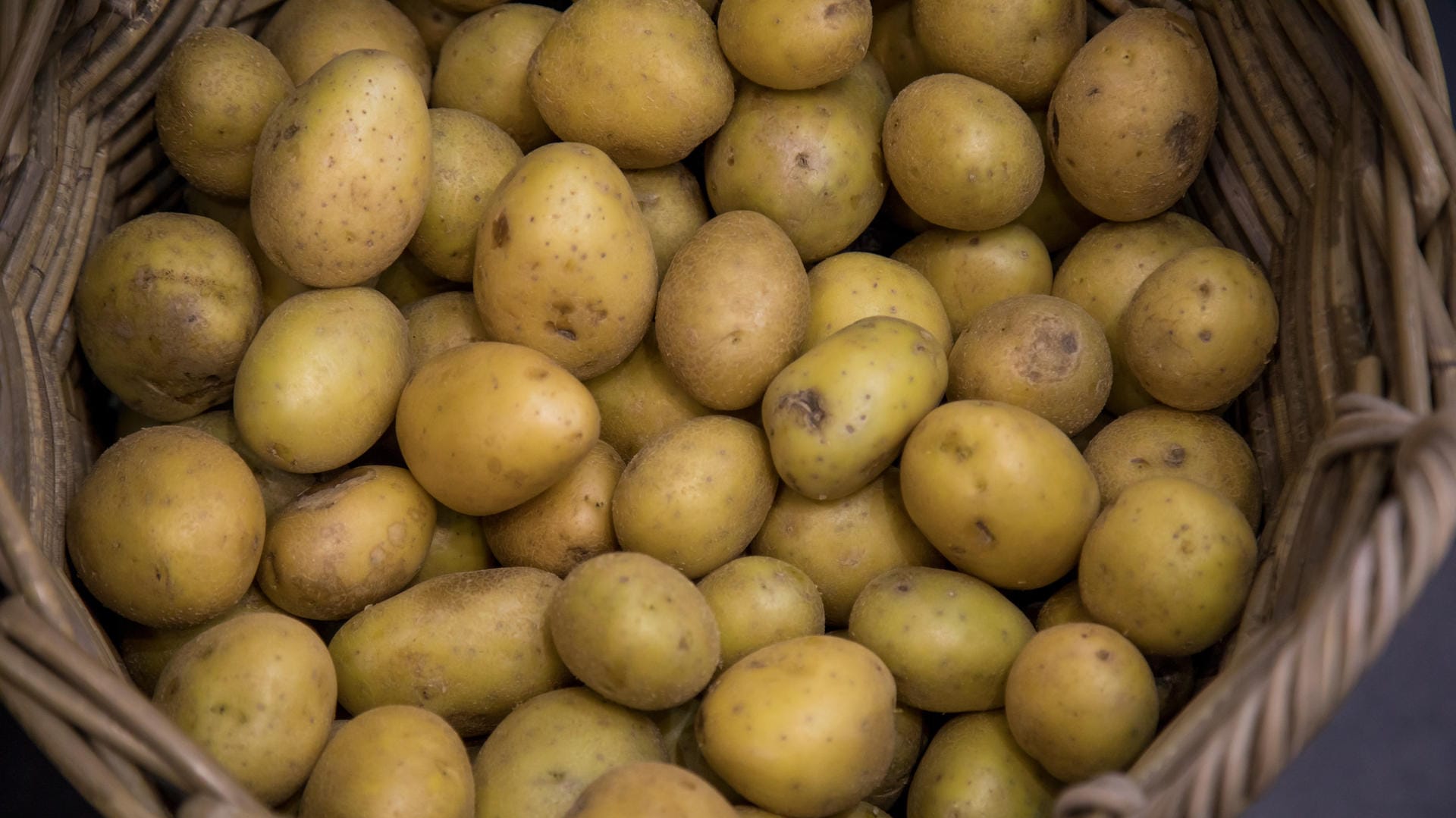 Kartoffeln: Wer sie jetzt auf Vorrat kauft, riskiert sie nicht mehr verzehren zu können. Kartoffeln: Wer sie jetzt auf Vorrat kauft, riskiert sie nicht mehr verzehren zu können.