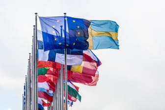Vor dem Gebäude des Europäischen Parlaments in Straßburg wehen die Flaggen der EU-Mitgliedsstaaten.