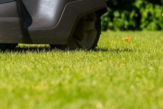 Rasenroboter brauchen oft praktische Hilfe, um effizient arbeiten zu können.