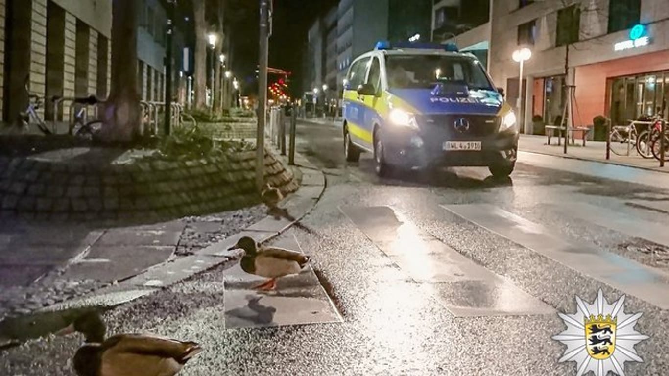 Drei Enten laufen durch die Innenstadt von Stuttgart und werden dabei von einer Polizeistreife angetroffen: Die Polizei verfasste daraufhin eine amüsante Meldung.