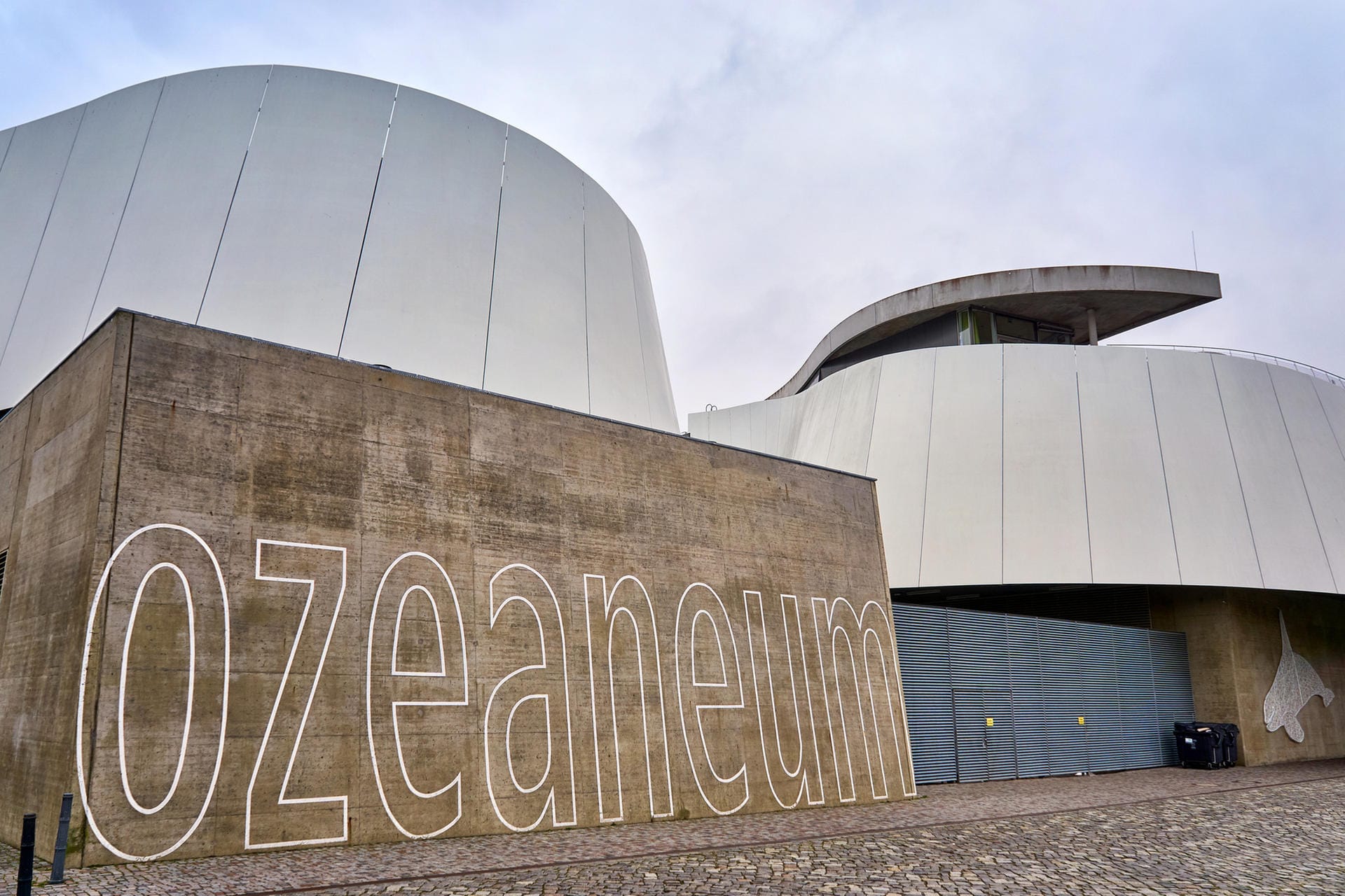 Ozeanum: Das Museum in Stralsund bietet einen Einblick in das Leben in den Meeren und Ozeanen.