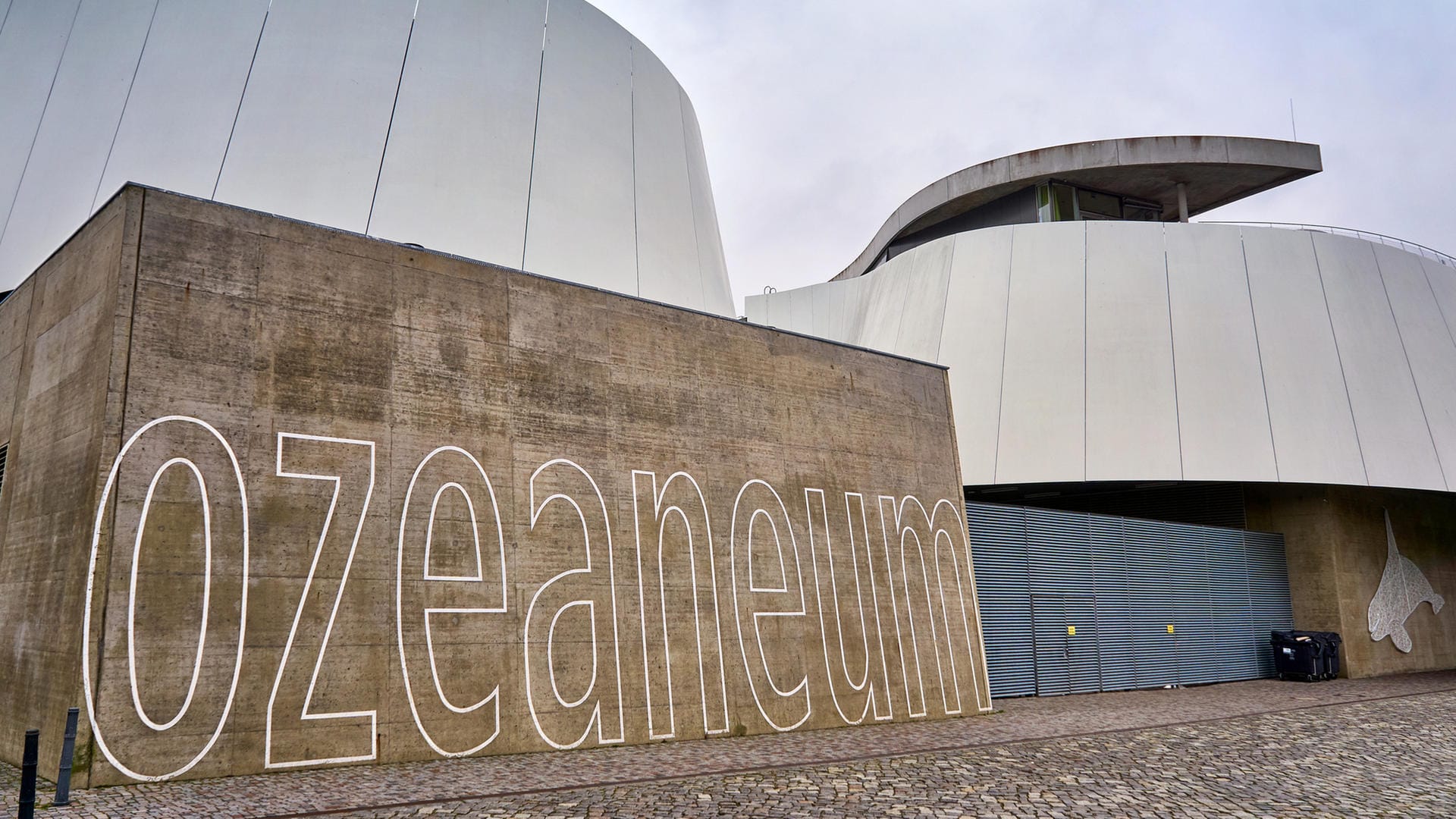 Ozeanum: Das Museum in Stralsund bietet einen Einblick in das Leben in den Meeren und Ozeanen.