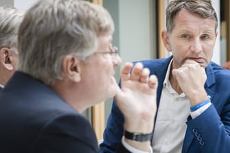 Flügelgründer Björn Höcke (r.) mit Parteichef Jörg Meuthen: Der sich angeblich in Auflösung befindliche Flügel attackiert den Vorsitzenden scharf.