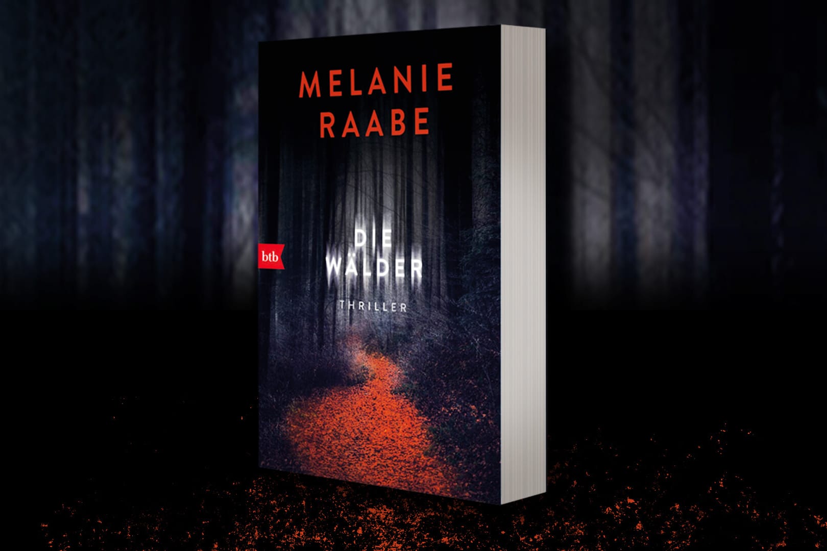 Melanie Raabe: "Die Wälder" erschien im Verlag btb.