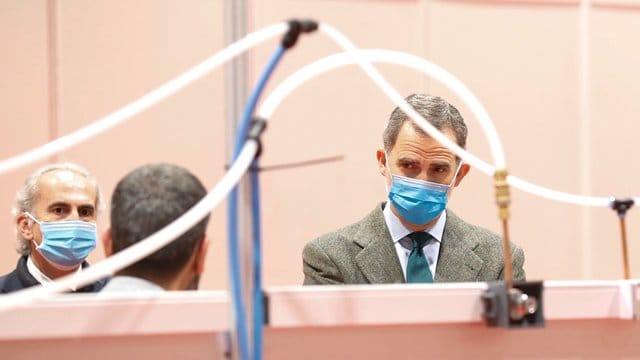 König Felipe VI.