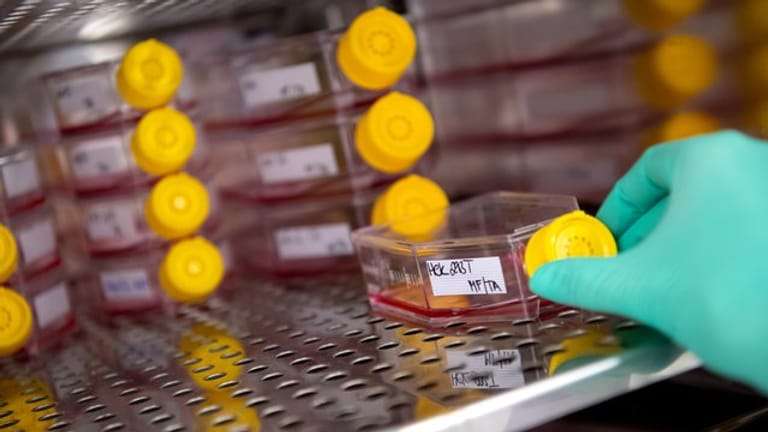 Eine Mitarbeiterin am Institut für Virologie der technischen Universität München (TUM) stellt eine Flasche mit einer Zellkultur in einen Inkubator.