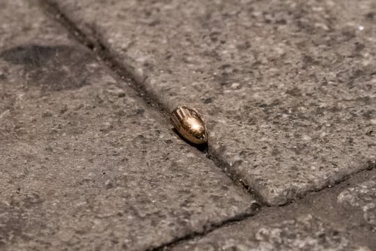 Februar: Eine Patronenhülse in unmittelbarer Nähe des Tatorts am Heumarkt in Hanau.