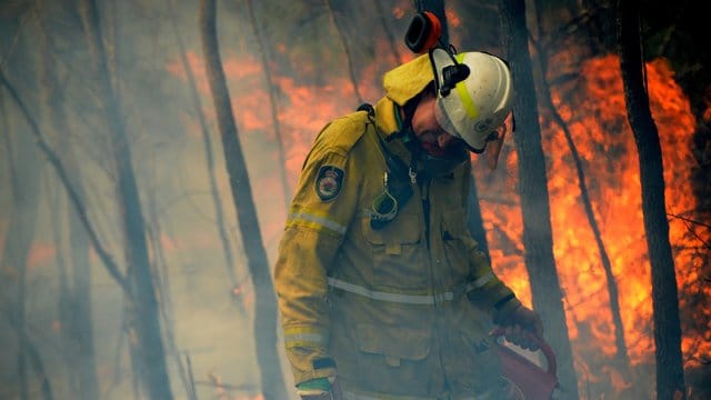 Die Brände hätten eine Fläche von rund 5,5 Millionen Hektar zerstört, etwa 6,2 Prozent des im Südosten von Australien gelegenen Bundesstaates New South Wales. Die Brände hätten eine Fläche von rund 5,5 Millionen Hektar zerstört, etwa 6,2 Prozent des im Südosten von Australien gelegenen Bundesstaates New South Wales.