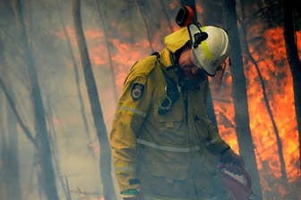 Die Brände hätten eine Fläche von rund 5,5 Millionen Hektar zerstört, etwa 6,2 Prozent des im Südosten von Australien gelegenen Bundesstaates New South Wales.