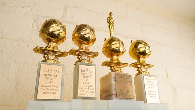Doris Day bekam unter anderem einen Golden Globe für ihr Lebenswerk. Doris Day bekam unter anderem einen Golden Globe für ihr Lebenswerk.