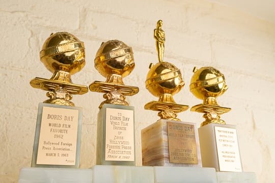 Doris Day bekam unter anderem einen Golden Globe für ihr Lebenswerk.