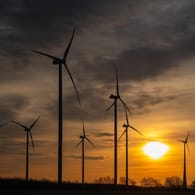 Ein Windpark im Brandenburgischen Jacobsdorf: Windkraft macht den größten Teil der Produktion erneuerbarer Energien in Deutschland aus.