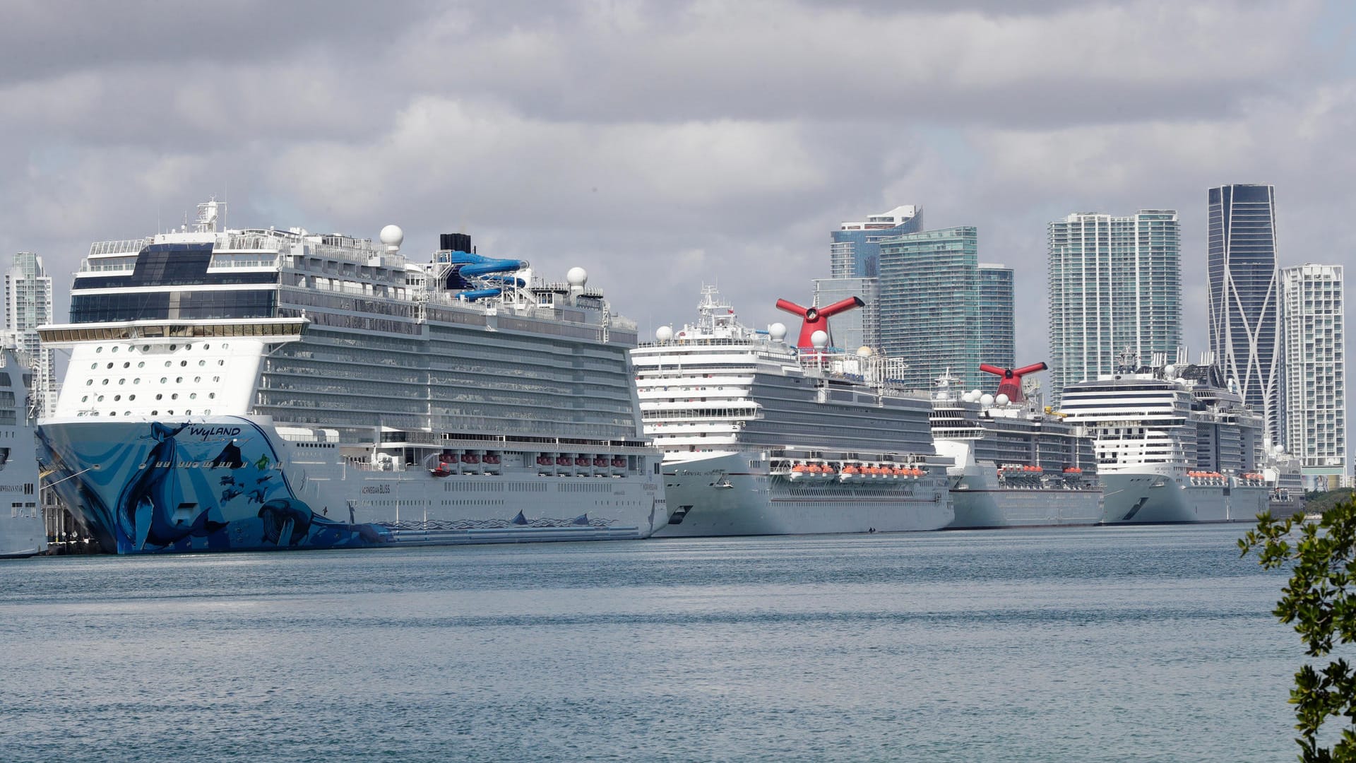 Kreuzer legen in Miami an: Florida hatte sich zunächst dagegen gesperrt, dass zwei Schiffe im Hafen von Port Lauderdale anlaufen dürfen.