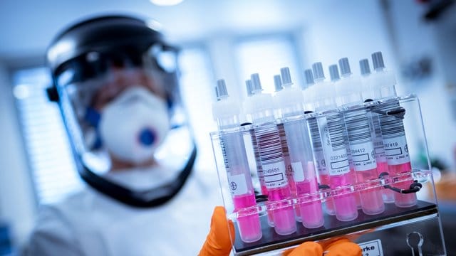 Virologen gehen davon aus, dass der Immunschutz nach der Corona-Infektion ein bis zwei Jahre anhält. Virologen gehen davon aus, dass der Immunschutz nach der Corona-Infektion ein bis zwei Jahre anhält.
