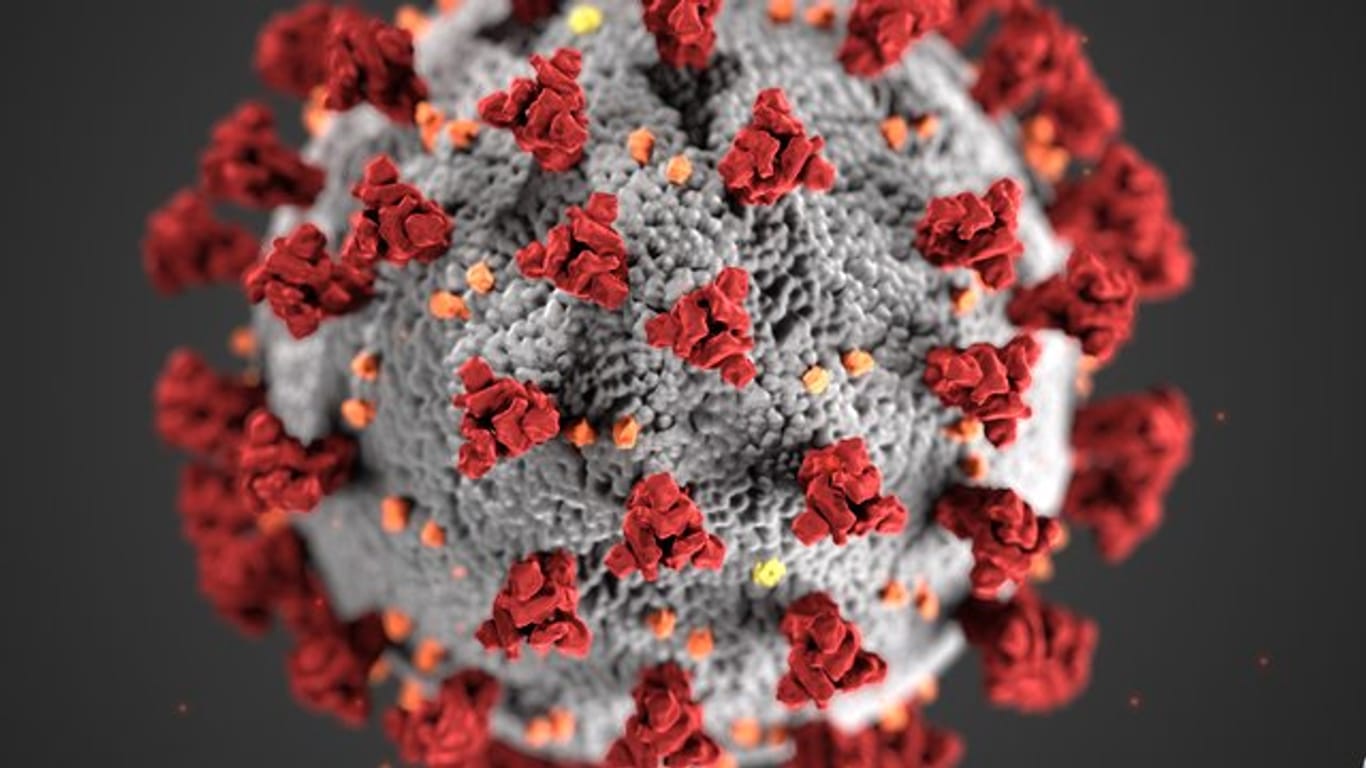Weltweit haben die Menschen mit der Ausbreitung des Coronavirus zu kämpfen.