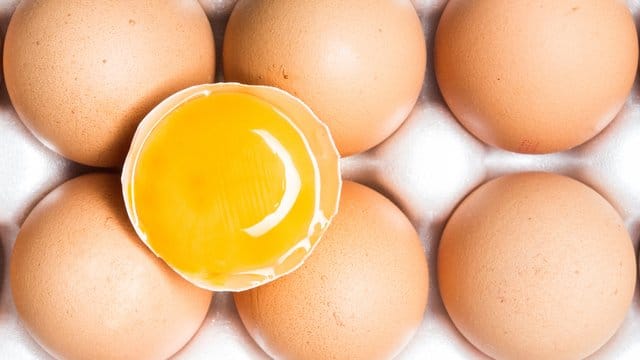 Entkeimung: Gegen Salmonellen auf der Eierschale setzen einige Betriebe neuerdings eine kurze UV-Bestrahlung ein.