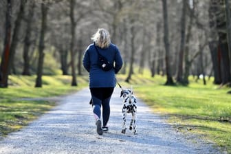 Eine Frau geht im thüringischen Sondershausen mit einem Hund im Park spazieren.