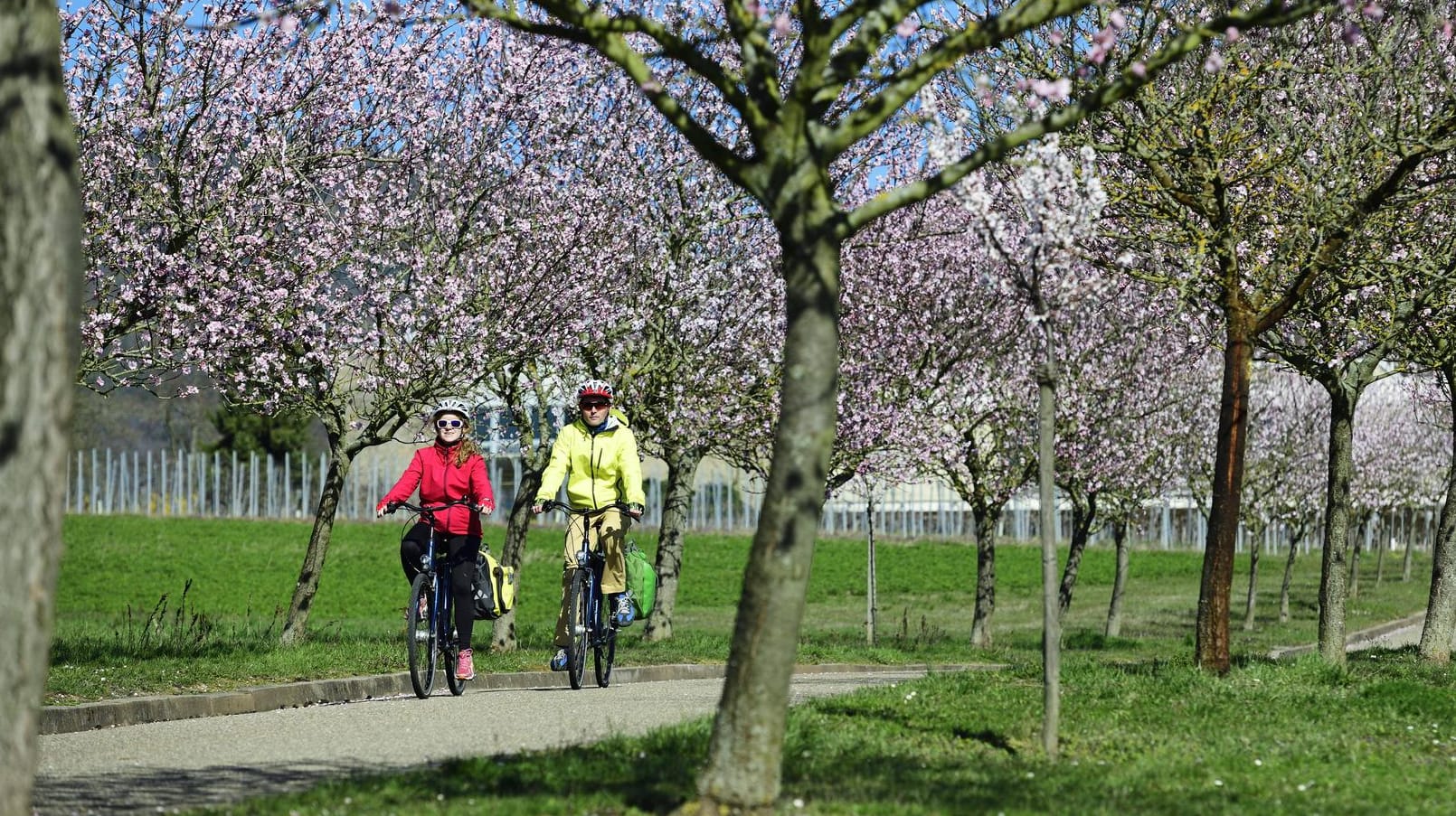 Radfahrer: Frische Luft und Bewegung sind gut für die Gesundheit, aber aktuell noch erlaubt?