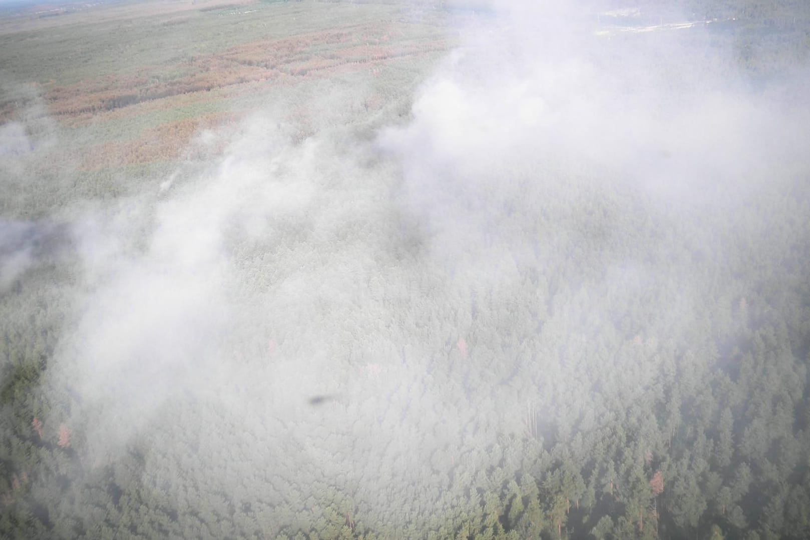 Ukrainische Sperrzone: Ein Waldbrand ist am Samstag ausgebrochen.