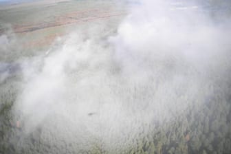 Ukrainische Sperrzone: Ein Waldbrand ist am Samstag ausgebrochen.