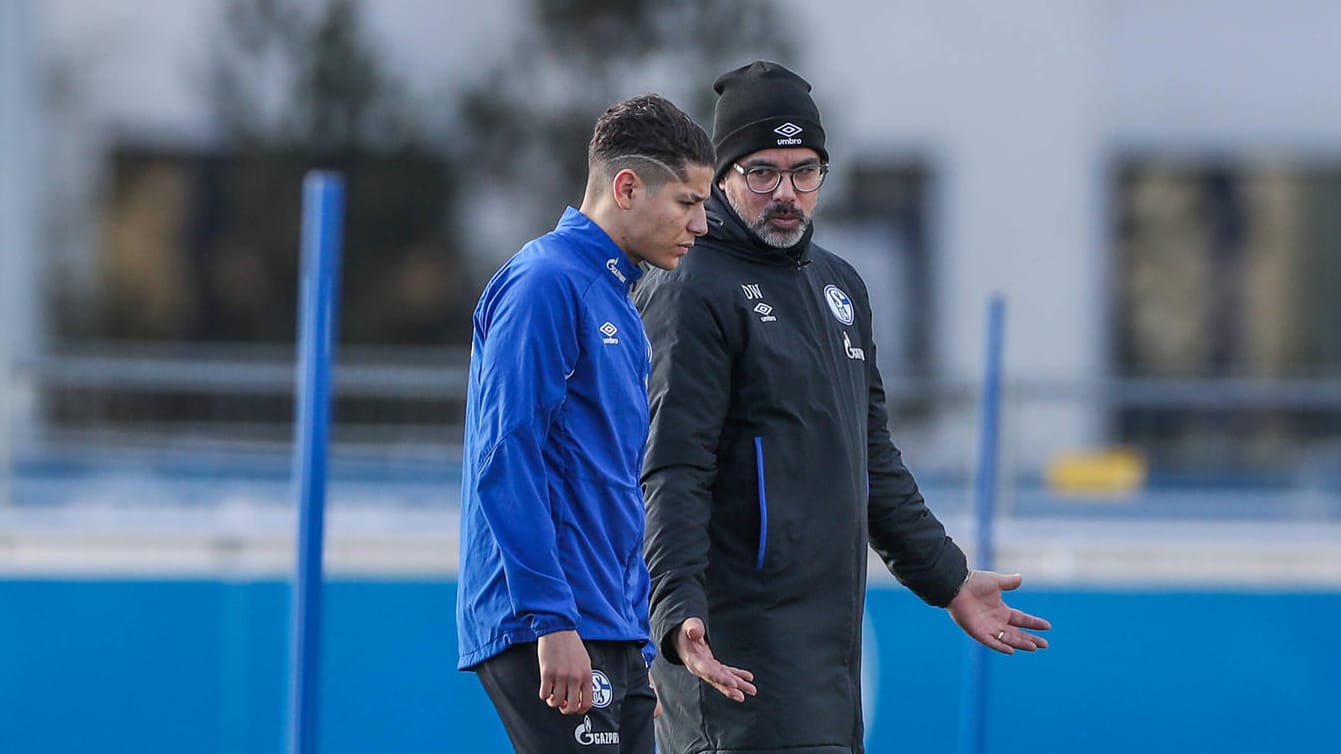 David Wagner (re.): Der Schalke-Coach zeigt sich enttäuscht über das Verhalten von Amine Harit (li.). David Wagner (re.): Der Schalke-Coach zeigt sich enttäuscht über das Verhalten von Amine Harit (li.).