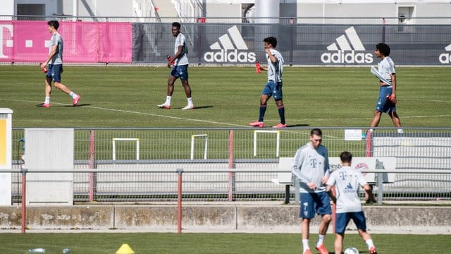 Die Bayern-Profis haben in Kleingruppen das Training auf dem Platz wieder aufgenommen. Die Bayern-Profis haben in Kleingruppen das Training auf dem Platz wieder aufgenommen.