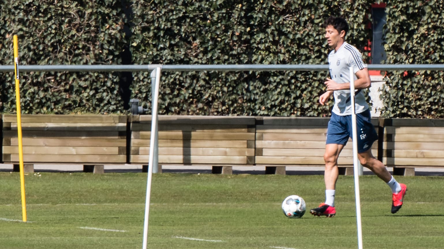 Robert Lewandowski: Der Stürmerstar des FC Bayern trainierte am Montag nach auskurierter Verletzung wieder auf dem Trainingsgelände der Bayern.