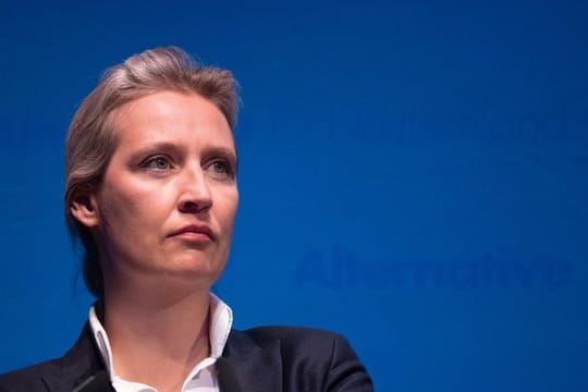 Der Corona-Kurs vom AfD-Fraktionsvorsitzenden im Bundestag, Alice Weidel, eckt bei vielen an.