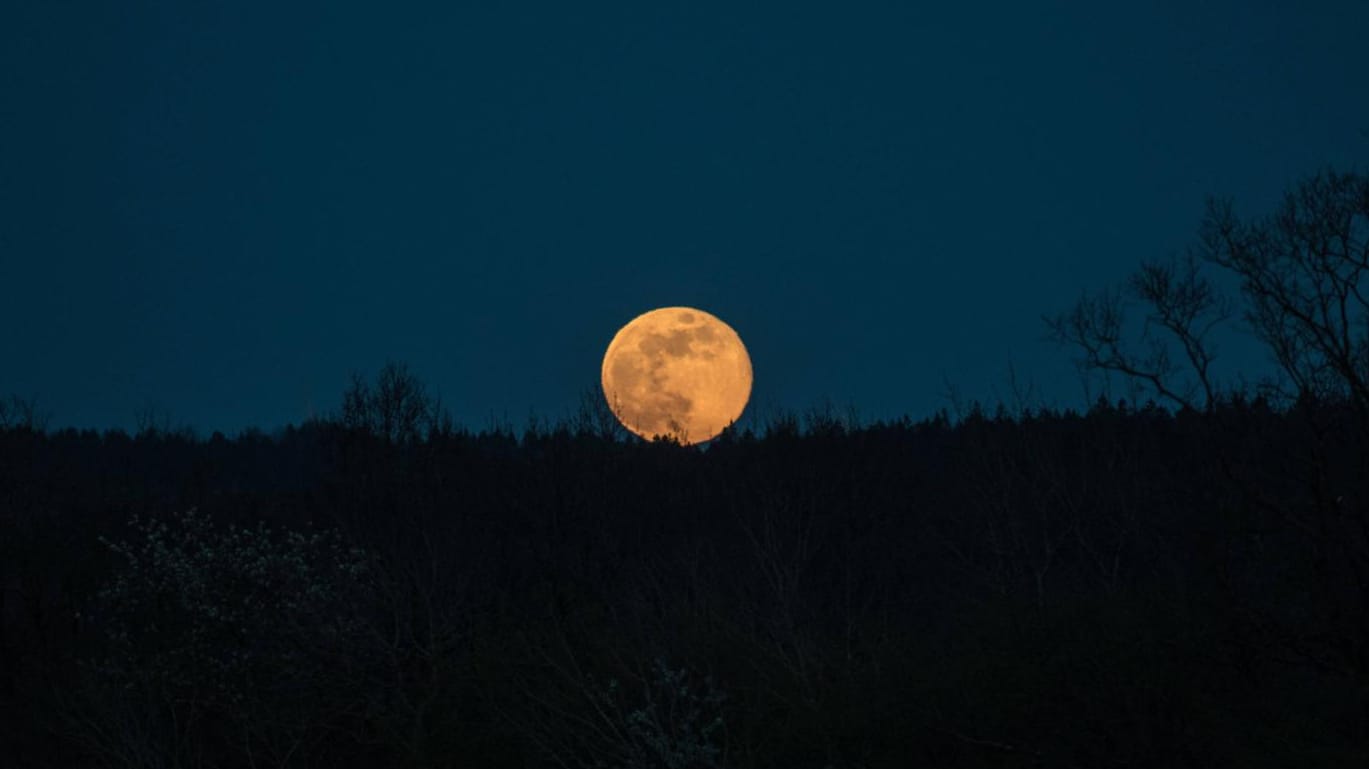 "Pink Moon": Der Begriff hat nichts mit der Färbung des Himmelskörpers zu tun.