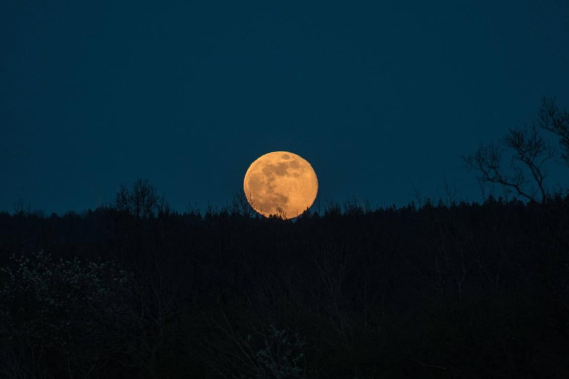 "Pink Moon": Der Begriff hat nichts mit der Färbung des Himmelskörpers zu tun.