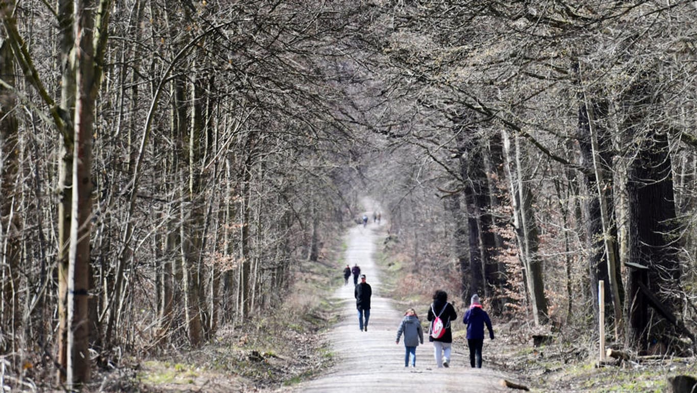 Weimar: Menschen gehen in einem Wald spazieren: Die Bevölkerung hält sich weitestgehend an das Kontaktverbot in Deutschland.