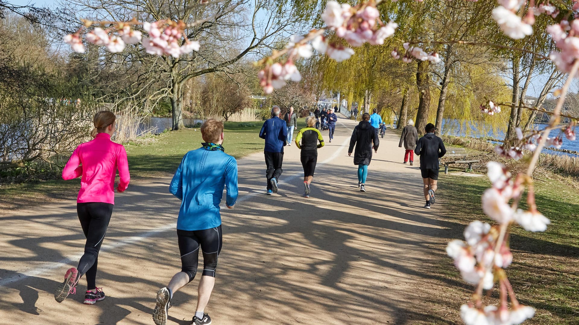 Jogger laufen an der Außenalster an blühenden Bäumen vorbei: In der Mitte ist jetzt eine weiße Linie. Jogger laufen an der Außenalster an blühenden Bäumen vorbei: In der Mitte ist jetzt eine weiße Linie.