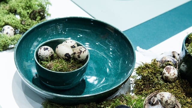 Schwarz-weiß oder schwarz-braun gesprenkelt: Hersteller ASA Selection inszeniert Wachteleier als Deko auf dem Ostertisch.