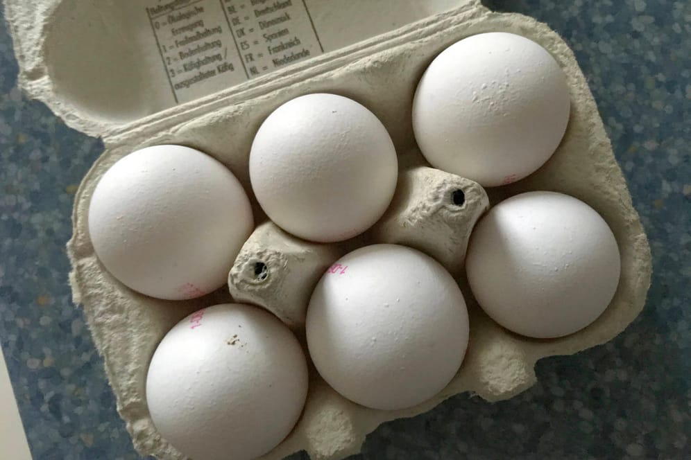Eier in einem Karton: So schnell stellen Sie fest, ob sie noch gut sind, oder nicht.